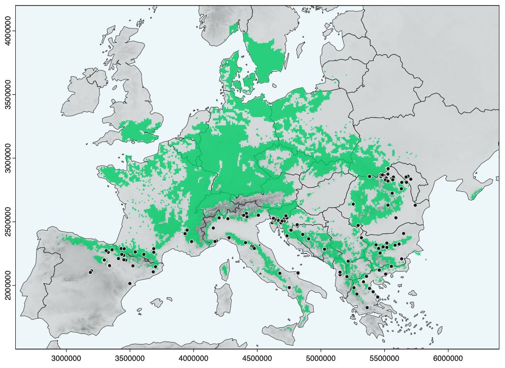 European Beech climate-growth